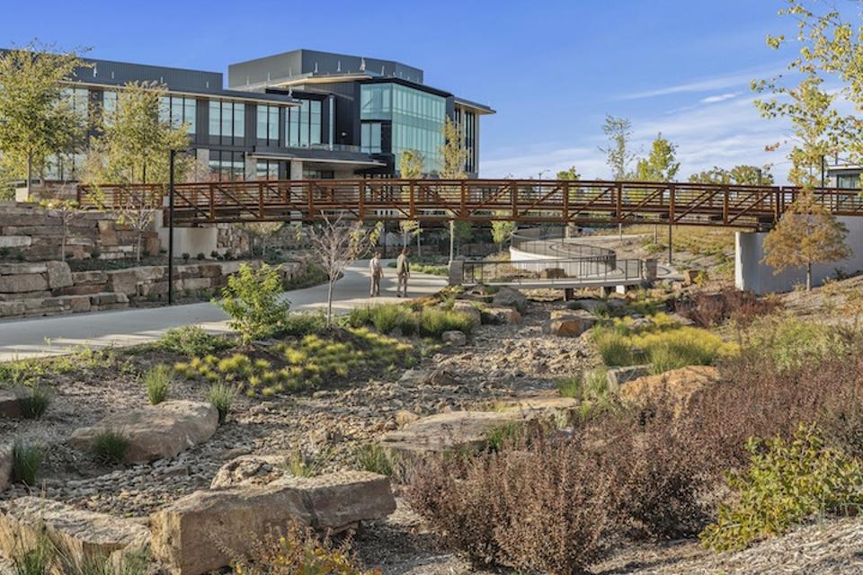 Inside Walmart's Massive, Nature-Filled New Headquarters